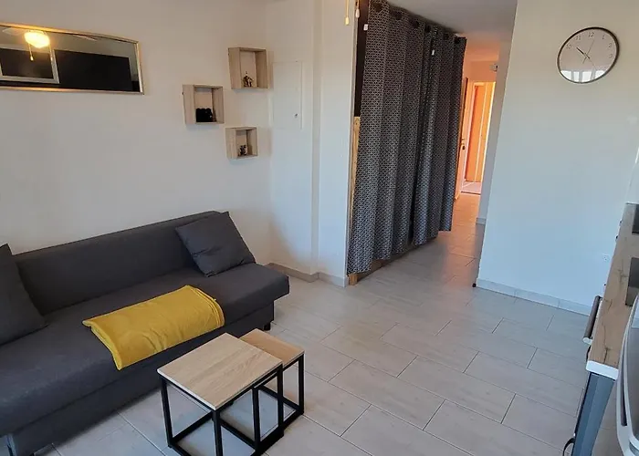 Les Terrasses Du Grand Bleu,6 Pers, Parking, Piscine * アグド