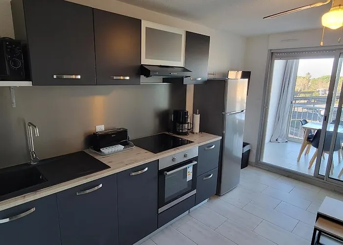 Les Terrasses Du Grand Bleu,6 Pers, Parking, Piscine アグド