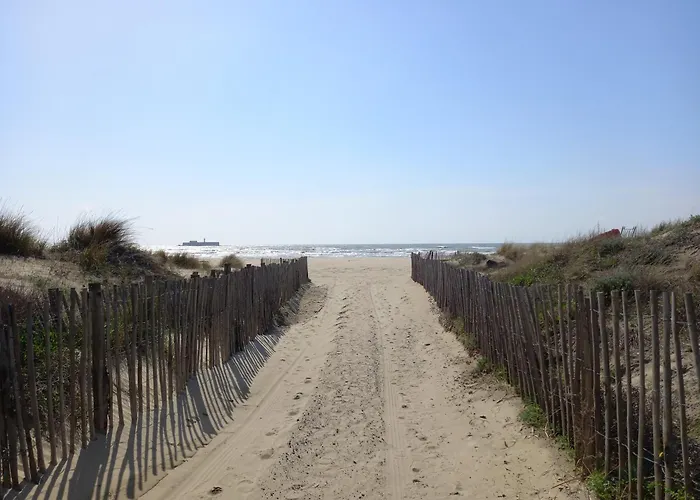 Les Terrasses Du Grand Bleu,6 Pers, Parking, Piscine アパート アグド